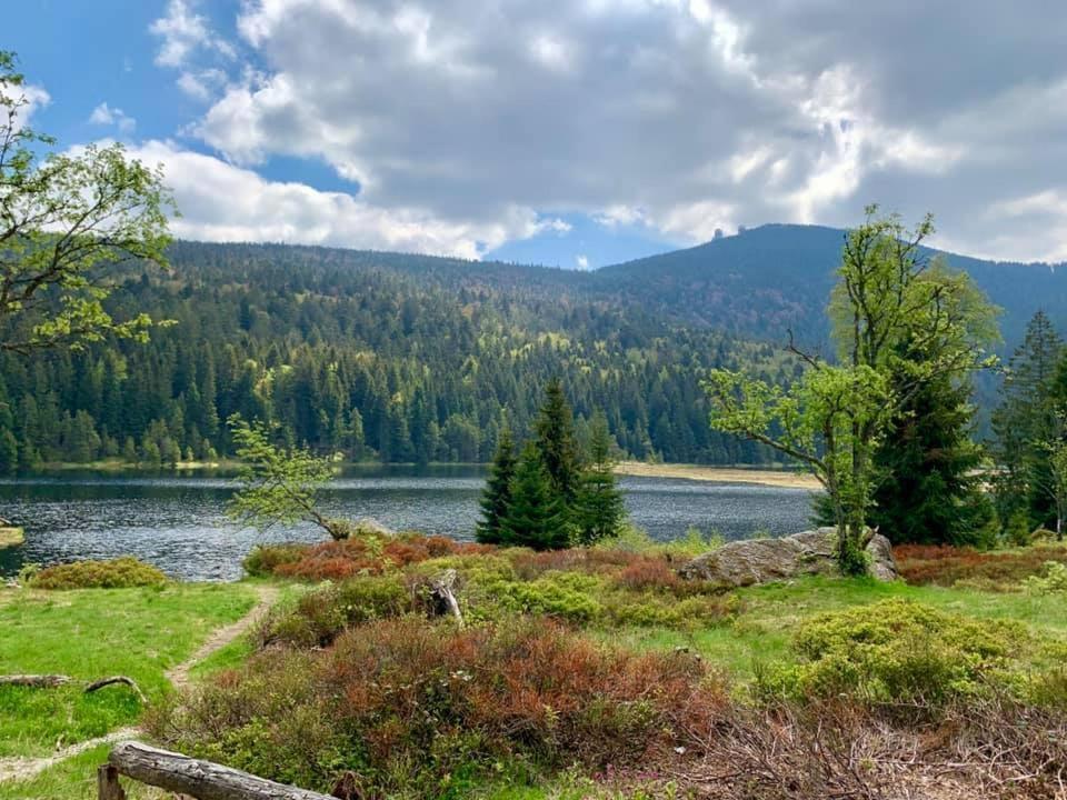 Waldfrieden 